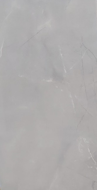 NK HARMONY Grey 300*600